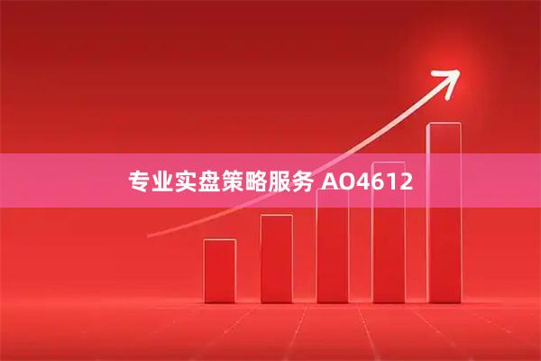 专业实盘策略服务 AO4612